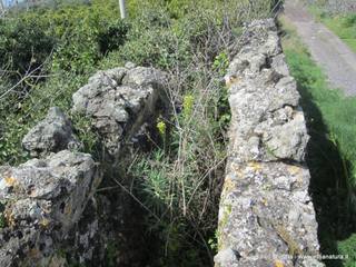 Acquedotto romano Porrazzo